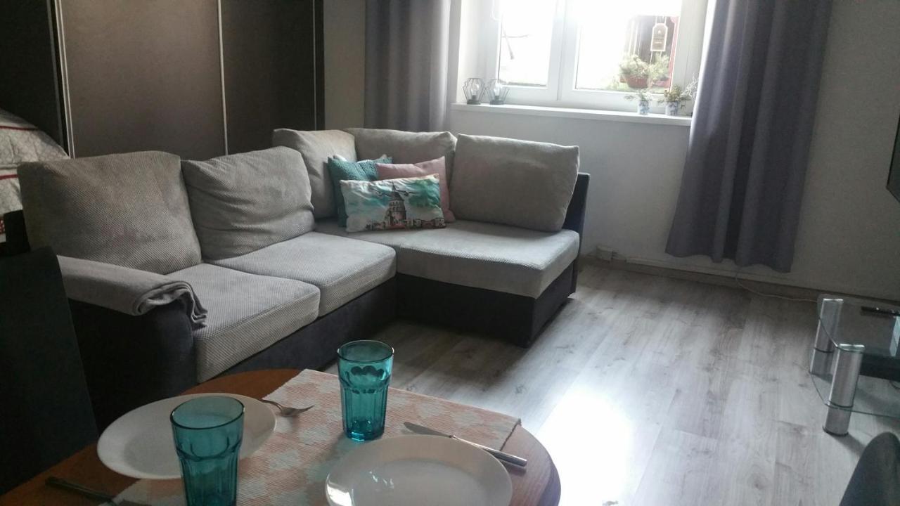 Zacisze Starowki Apartment Torun Luaran gambar