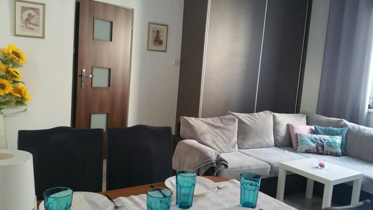 Zacisze Starowki Apartment Torun Luaran gambar